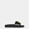 D2 Statement Slides