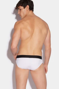Dsq2 Brief