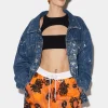 Sunflower Surfer Ski